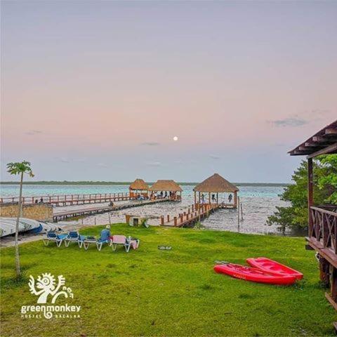 Gasthuis Green Monkey Bacalar